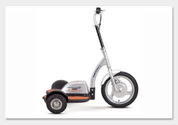 Stand-N-Ride Recreational Mobilizers